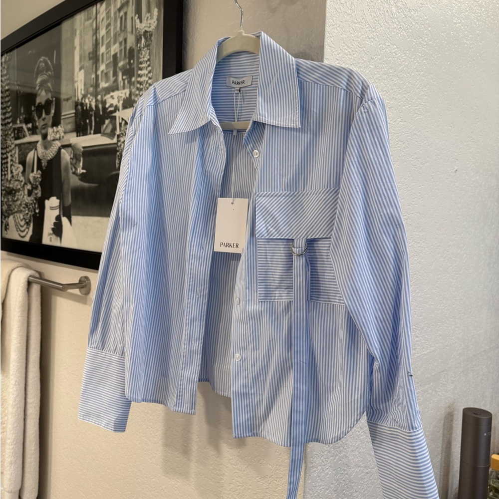 Parker Light Blue Striped Casual Button Down Shirt